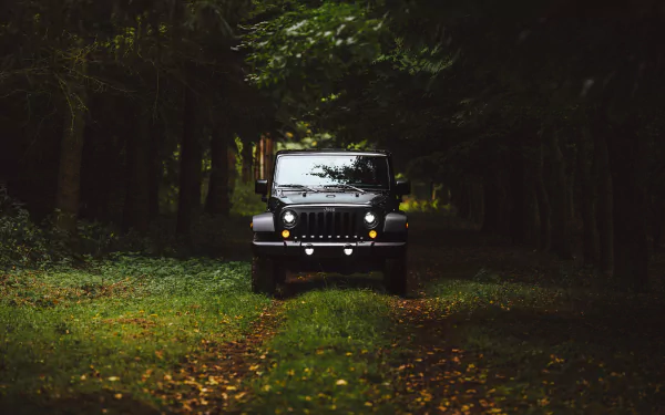forest vehicle Jeep Wrangler HD Desktop Wallpaper | Background Image