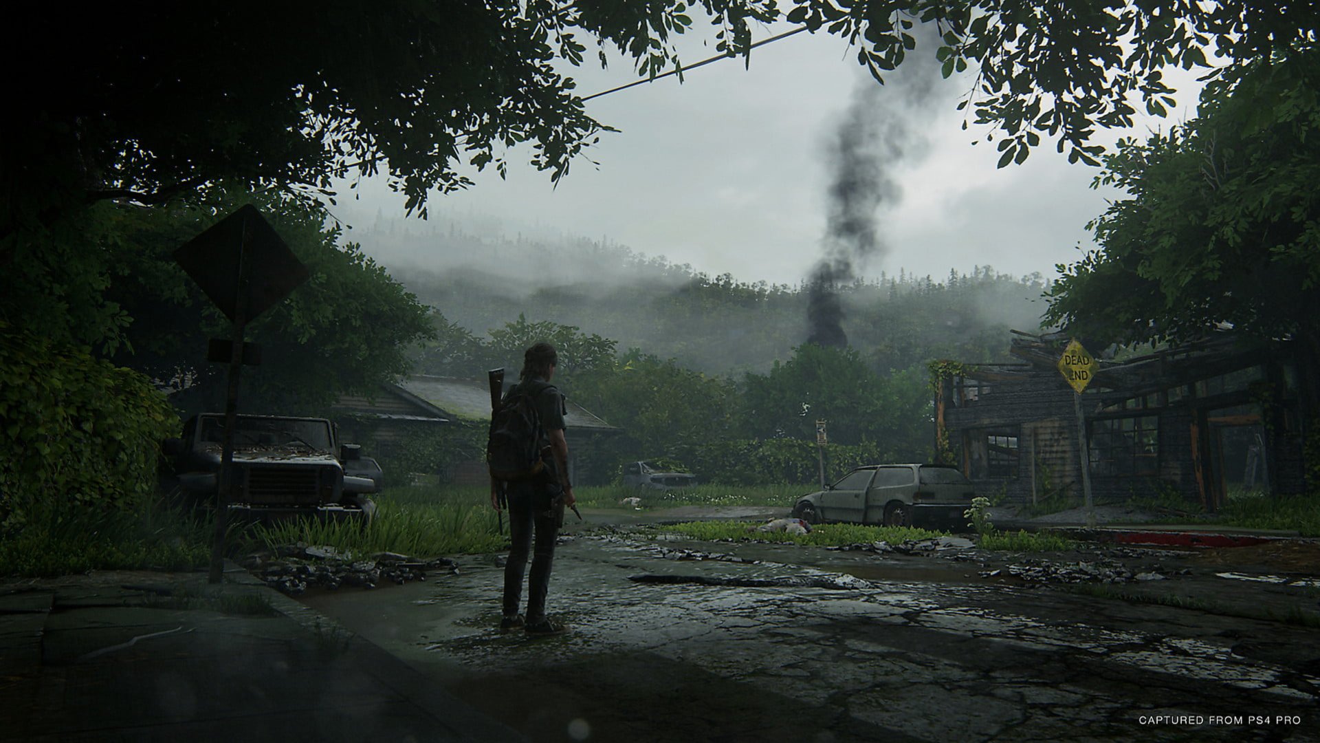 A detailed 8K Ultra HD PC wallpaper from The Last of Us Part II depicts a lone character standing on a wet, overgrown street with smoke rising in the distance under a gloomy sky.