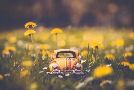 man made toy HD Desktop Wallpaper | Background Image