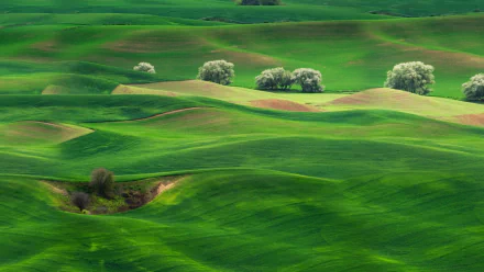 grassland nature landscape HD Desktop Wallpaper | Background Image