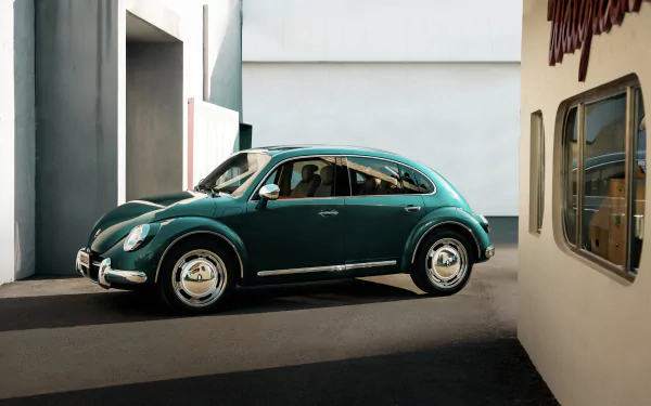 vehicle Ora Punk Cat HD Desktop Wallpaper | Background Image