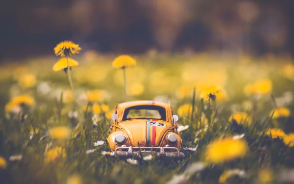 man made toy HD Desktop Wallpaper | Background Image