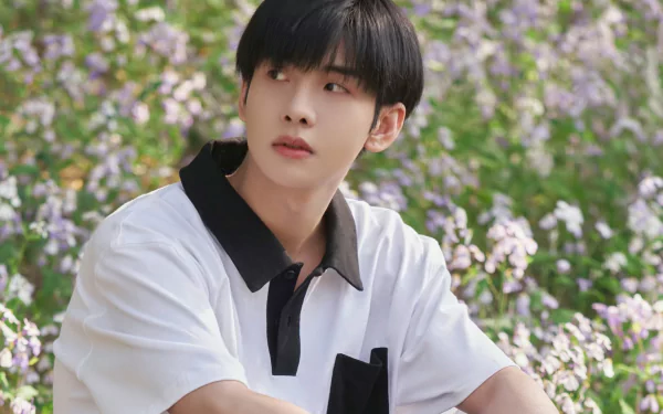 Celebrity Zheng Fan Xing HD Desktop Wallpaper | Background Image