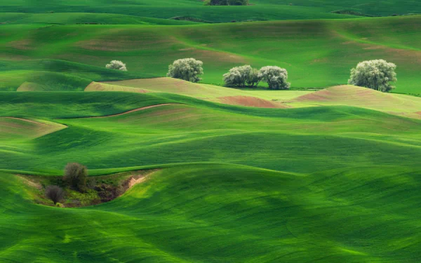 grassland nature landscape HD Desktop Wallpaper | Background Image