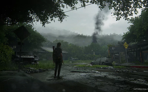 video game The Last of Us Part II HD Desktop Wallpaper | Background Image