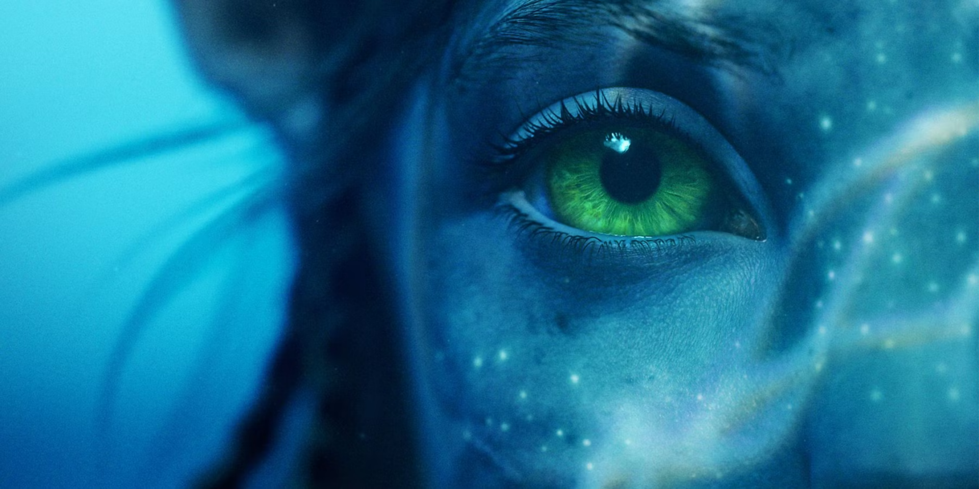 Close-up of a vibrant green eye of a Na'vi character from the movie Avatar: The Way of Water, featured as an HD PC desktop wallpaper background.