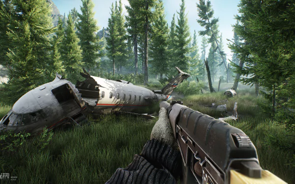 HD desktop wallpaper of Escape From Tarkov game featuring an immersive first-person view with a gun overlooking a crashed helicopter in a lush forest setting.