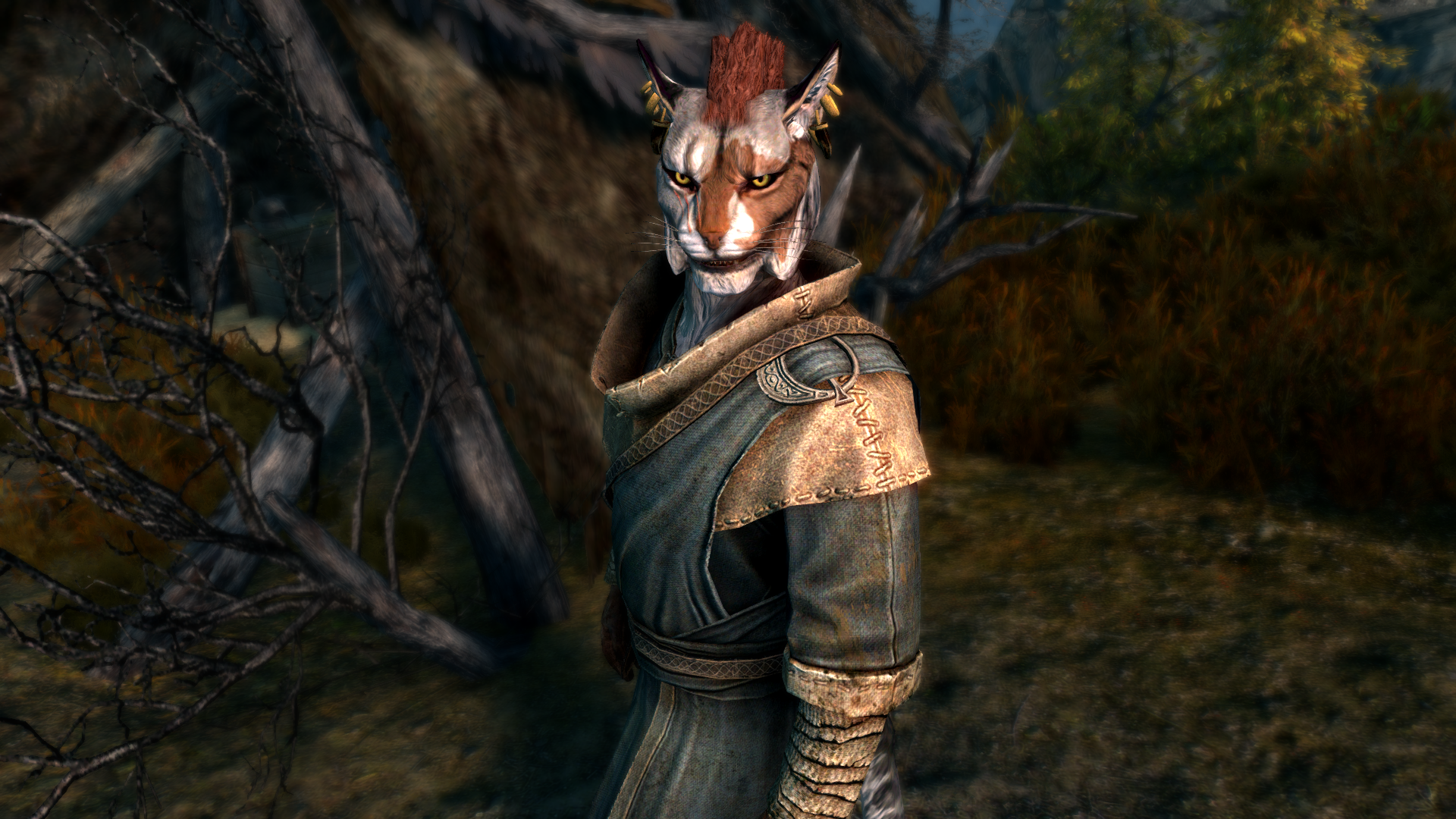 Mage Khajiit in Skyrim by Michael Moraes, image size:1920x1080