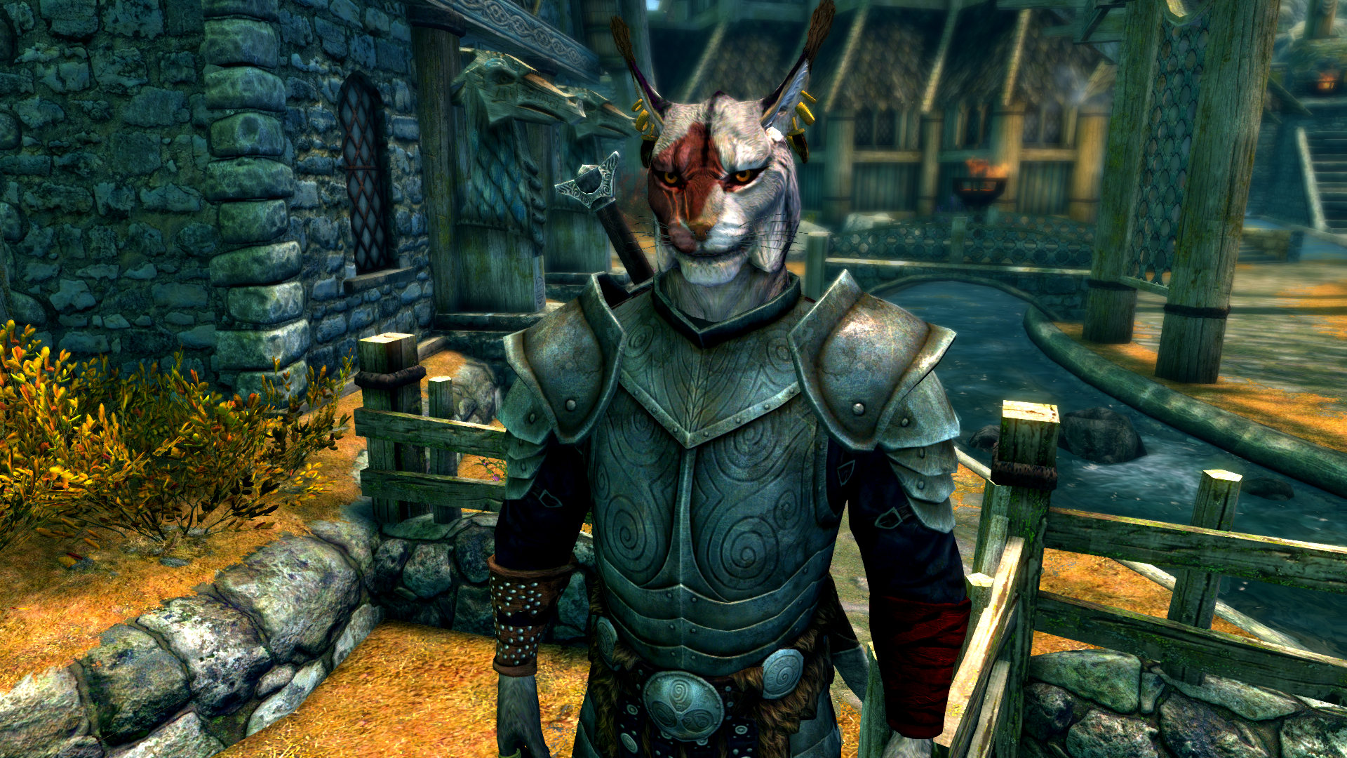 Male Khajiit in Whiterun by Michael Moraes