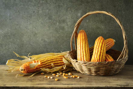 basket food corn HD Desktop Wallpaper | Background Image