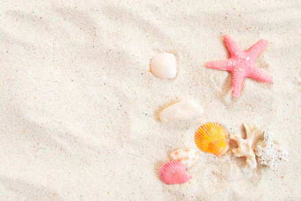 5K Ultra HD PC desktop wallpaper and background: pastel seashells and a pink starfish scattered on fine white sand, showing delicate textures and soft shadows.