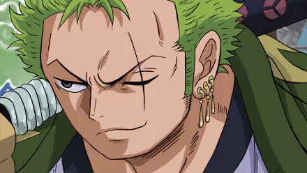 Roronoa Zoro Anime One Piece HD Desktop Wallpaper | Background Image