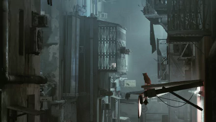 4K Ultra HD PC desktop wallpaper and background from the video game Stray: a lone cat perched on a rooftop beam, gazing over foggy, neon-lit industrial alleyways.