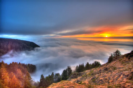 sea of clouds nature sunset HD Desktop Wallpaper | Background Image