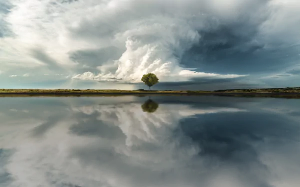 Solitary tree on a Montana prairie beneath a dramatic cloudscape, perfectly mirrored in still water — 4K Ultra HD nature desktop wallpaper and background.