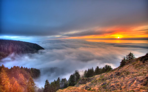 sea of clouds nature sunset HD Desktop Wallpaper | Background Image