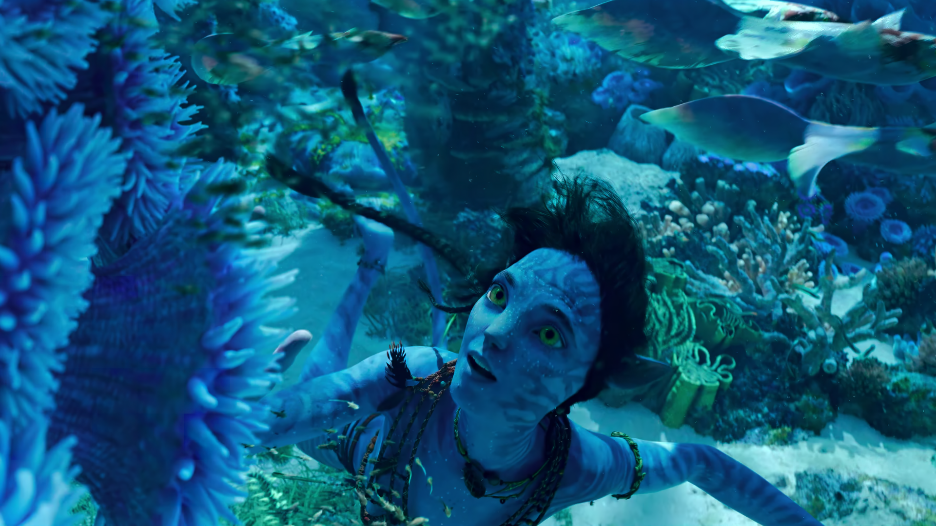 Download Water Avatar: The Way Of Water 4k Ultra HD Wallpaper