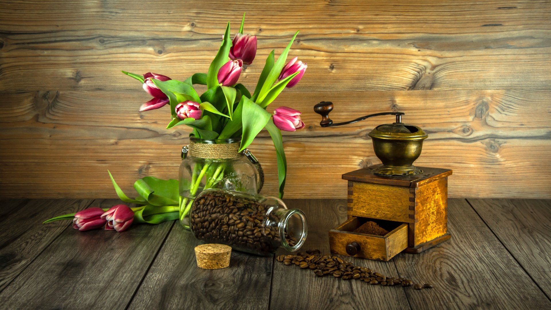 Download Photography Still Life 4k Ultra HD Wallpaper