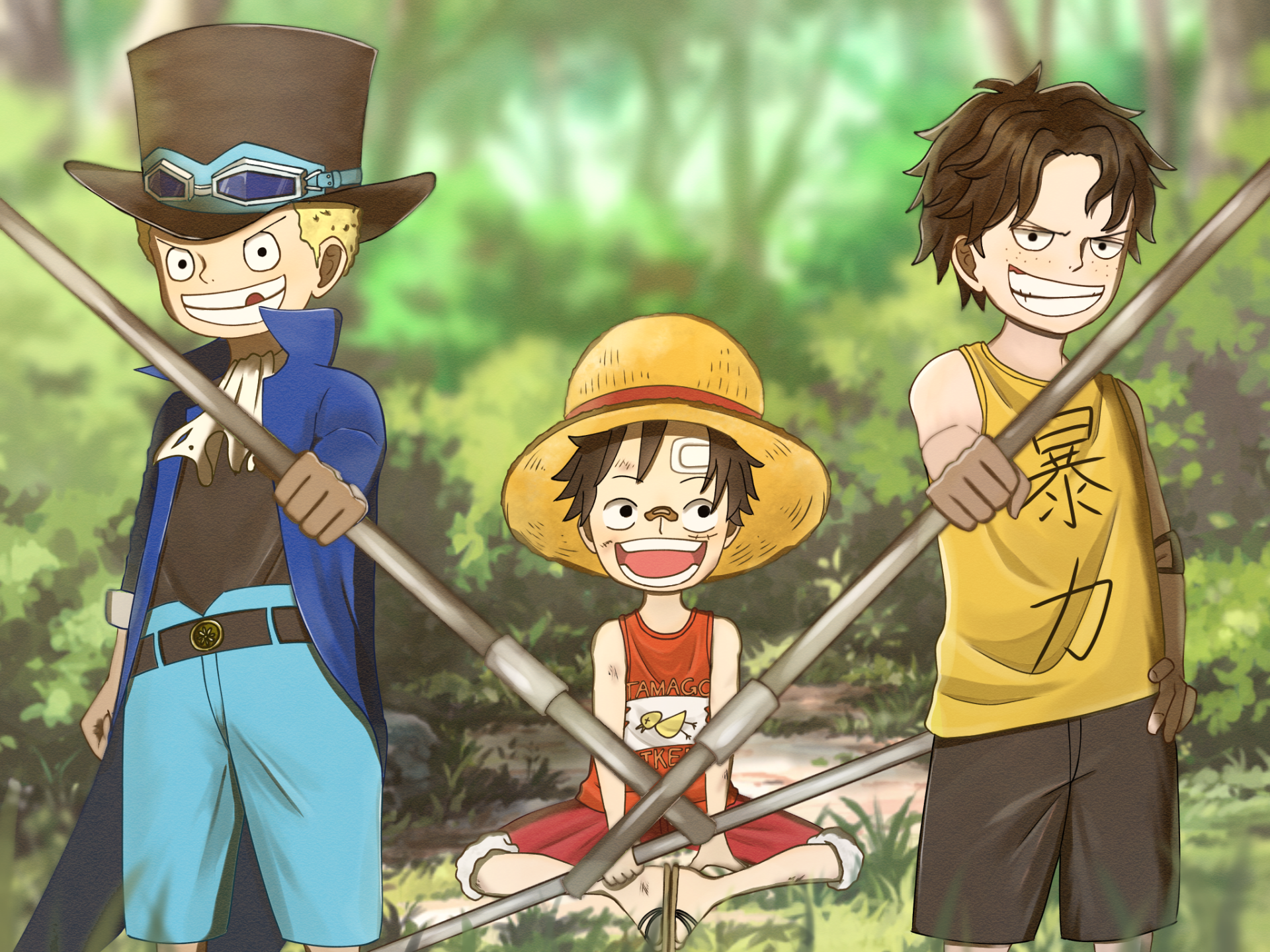 Straw Hat Brothers - Luffy, Ace & Sabo (HD Wallpaper) by 晴天 | 2048x1536 ...
