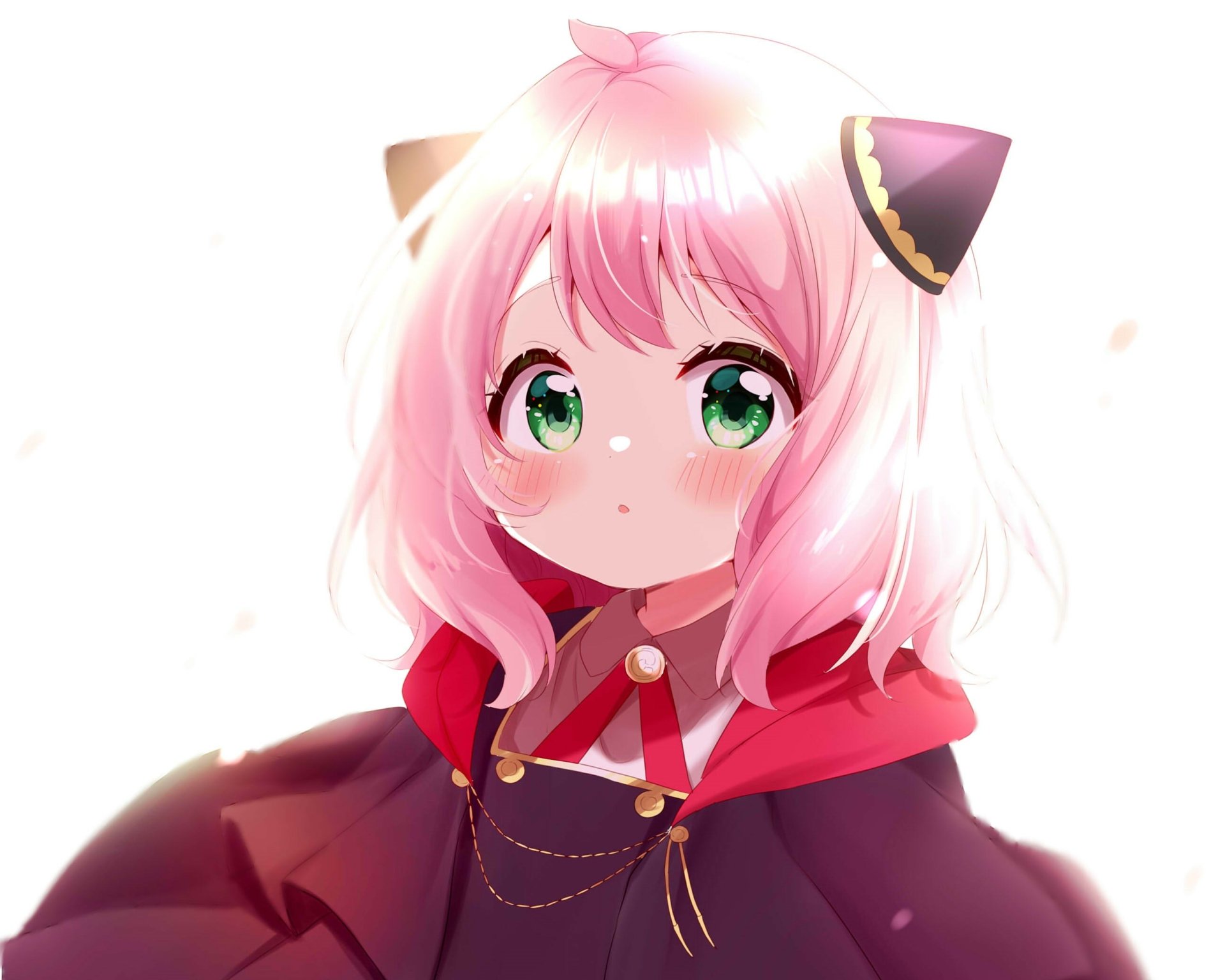 HD PC desktop wallpaper featuring Anya Forger from the anime Spy x Family, showcasing her with pink hair, green eyes, and cat ear accessories.