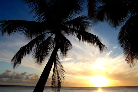 photography sunset HD Desktop Wallpaper | Background Image