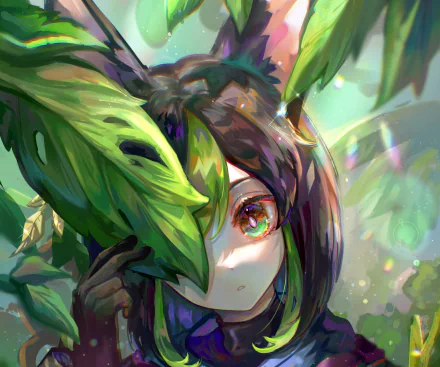 HD PC desktop wallpaper featuring Tighnari from the video game Genshin Impact, showcasing vibrant colors and detailed fantasy-themed artwork.