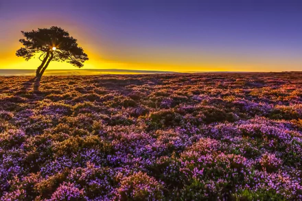  North York Moors National Park