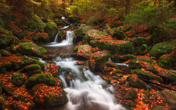 A serene nature scene of a tranquil stream, perfect for a refreshing HD desktop wallpaper background.