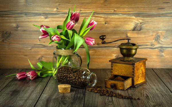 photography still life HD Desktop Wallpaper | Background Image