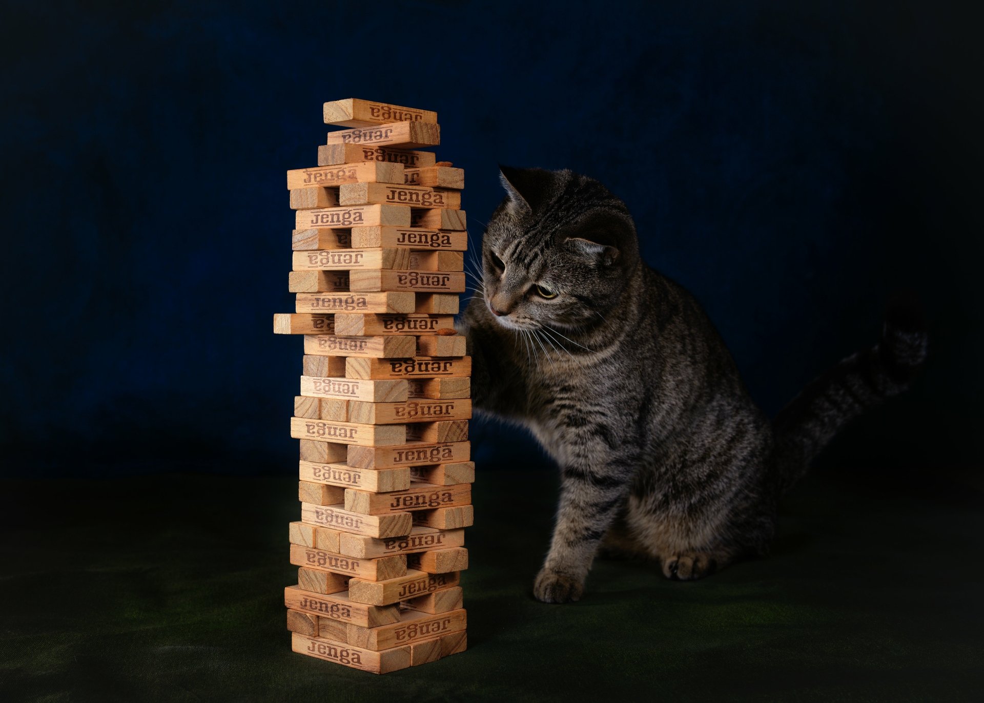 5K Ultra HD PC desktop wallpaper showing an animal — a tabby cat pawing a tall wooden block tower (Jenga) against a dark blue background.