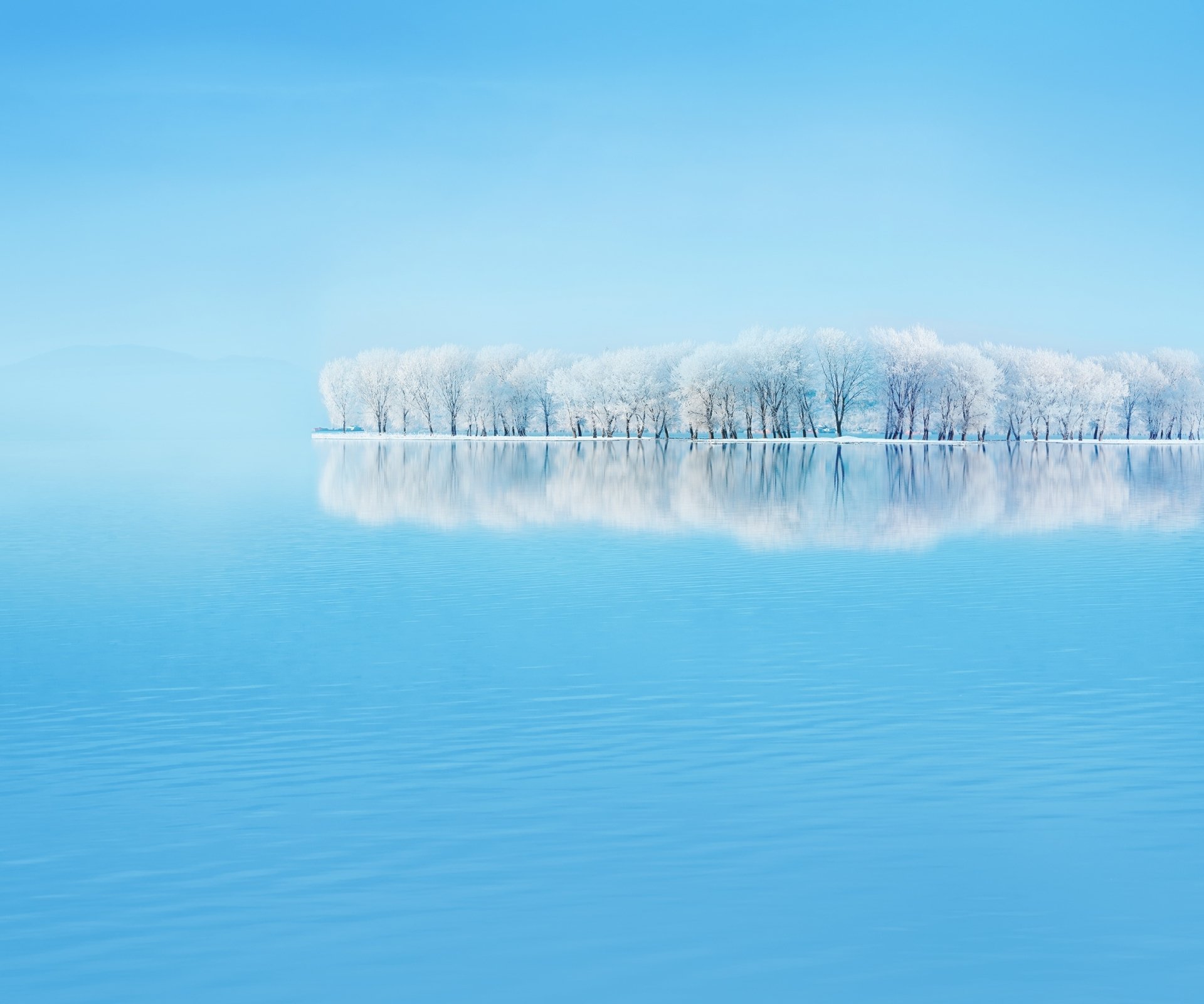 Serene Winter Reflection: HD Nature Wallpaper | 2340x1950 | Wallpaper Abyss