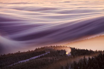 HD PC desktop wallpaper/background: nature scene — a winding mountain road through evergreens beneath a rolling sea of clouds and soft fog at sunrise.