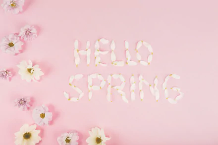 aesthetic pink aesthetic artistic spring HD Desktop Wallpaper | Background Image
