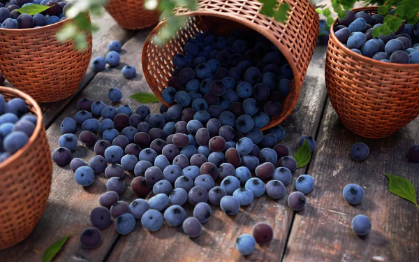 food blueberry HD Desktop Wallpaper | Background Image
