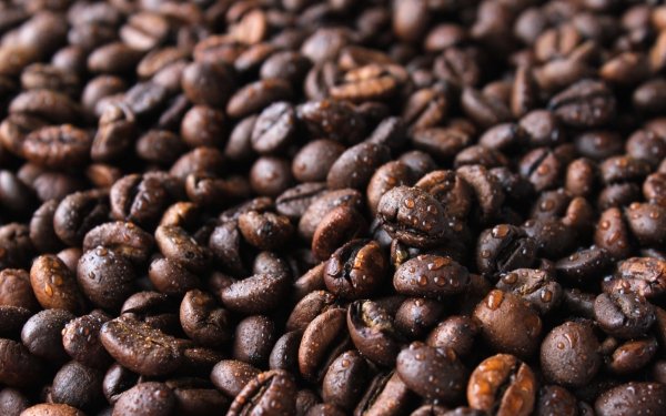 Food Coffee Coffee Beans HD Wallpaper | Background Image