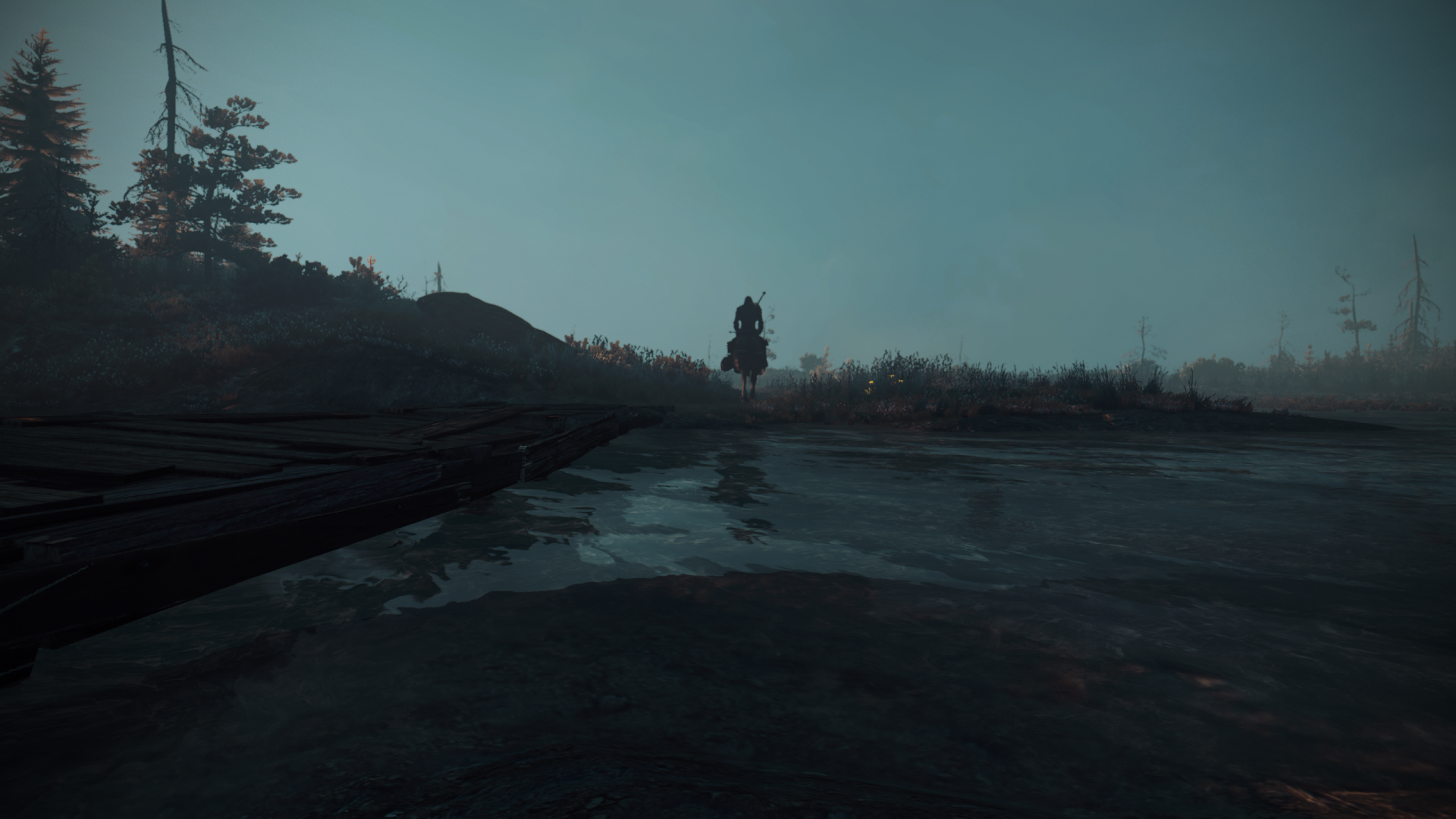 Download Video Game The Witcher 3 Wild Hunt HD Wallpaper by Quinto