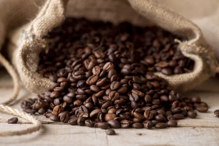 coffee beans food coffee HD Desktop Wallpaper | Background Image