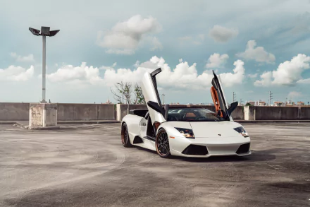 vehicle Lamborghini Murcielago HD Desktop Wallpaper | Background Image