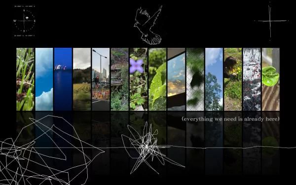 Abstract Nurture 2K Quad HD desktop wallpaper: black field with vertical nature photo panels, white geometric sketches and a dove silhouette, caption everything we need is already here.