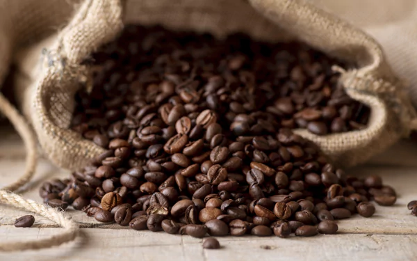 coffee beans food coffee HD Desktop Wallpaper | Background Image