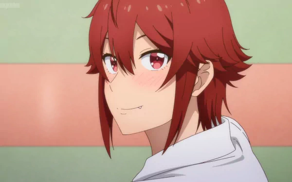 Tomo Aizawa Anime Tomo-chan Is a Girl! HD Desktop Wallpaper | Background Image