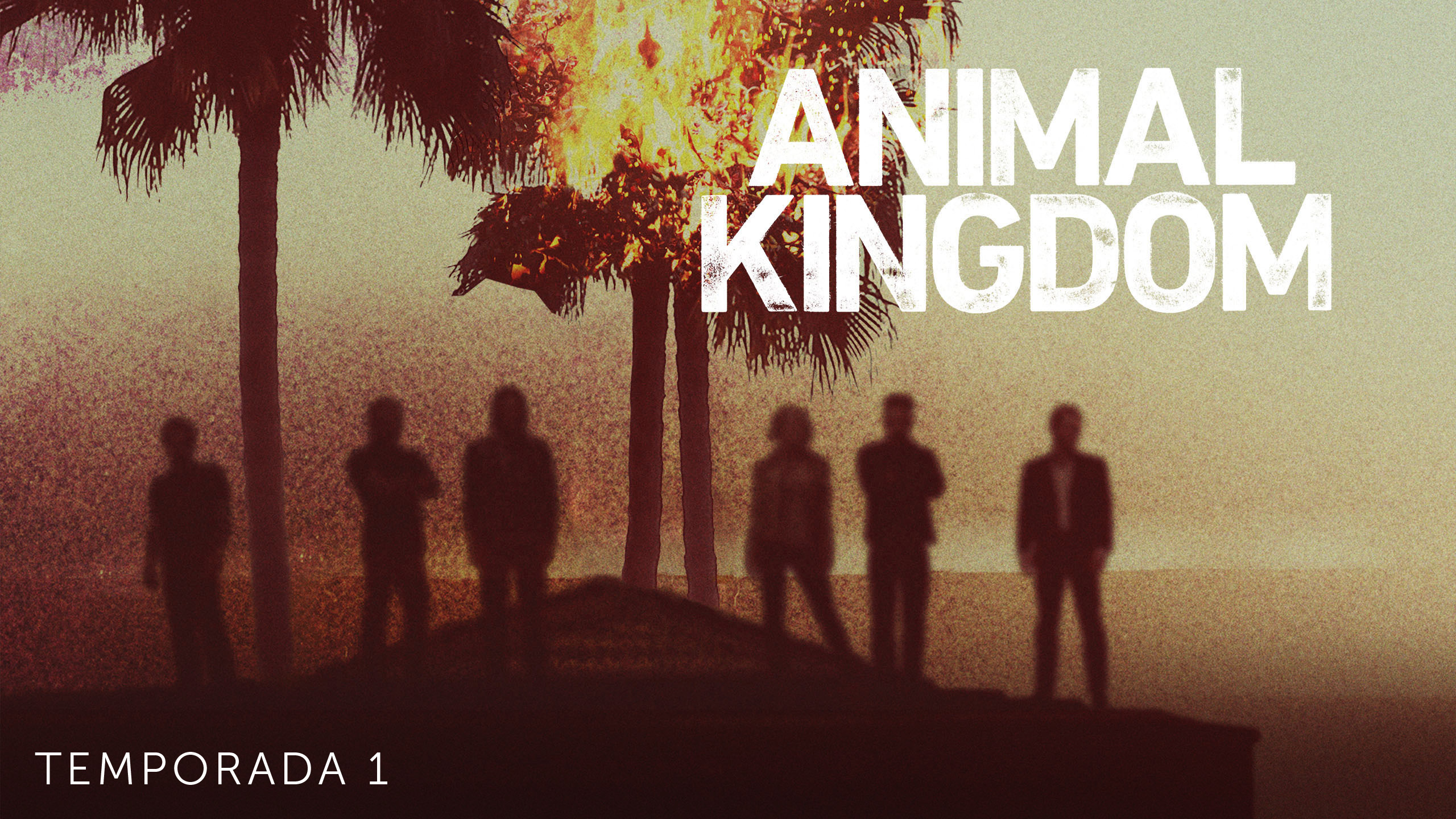 TV Show Animal Kingdom HD Wallpaper | Background Image