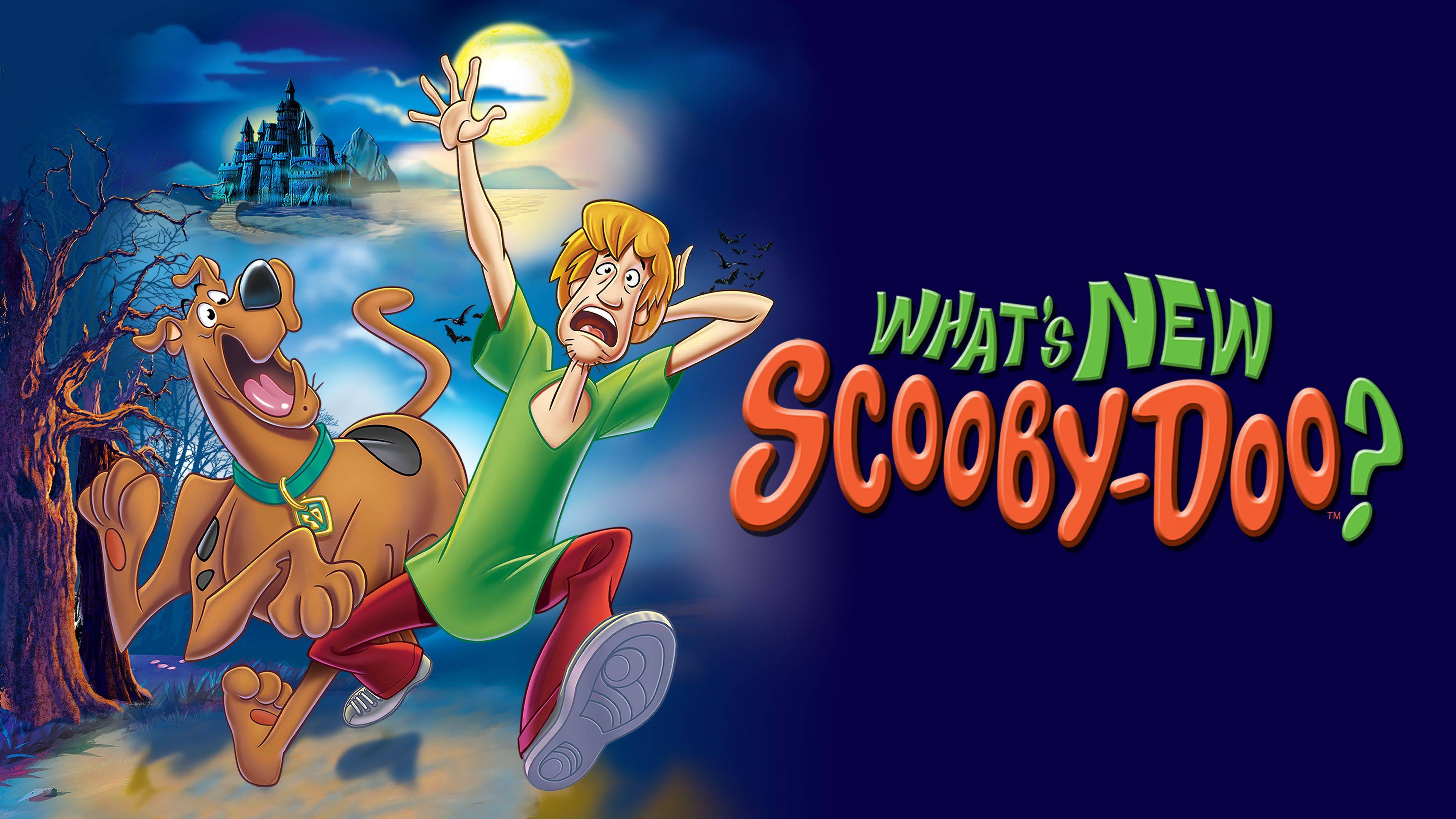 TV Show What's New, Scooby-Doo? HD Wallpaper | Background Image