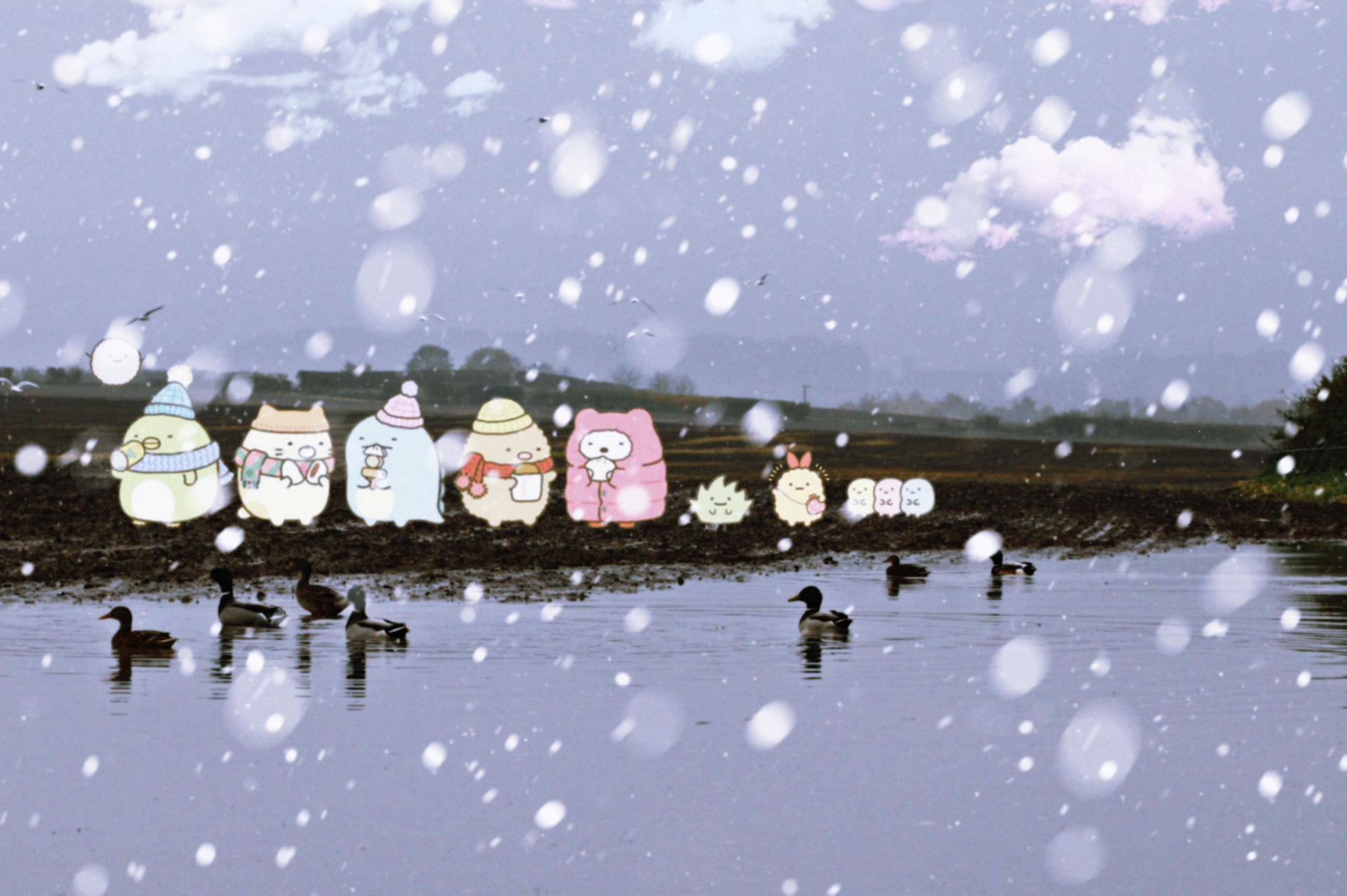Download Anime Sumikko Gurashi HD Wallpaper