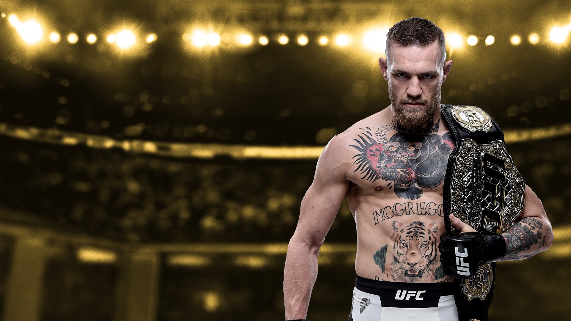 UFC 1920С…1080