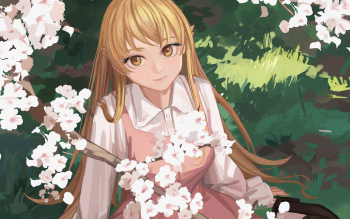Wallpaper ID: 1308987