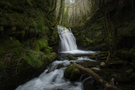 nature waterfall HD Desktop Wallpaper | Background Image