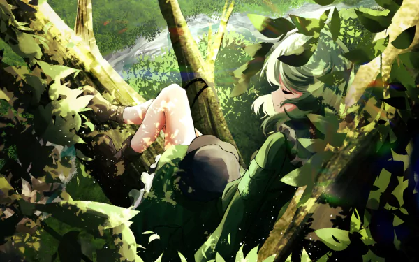 HD PC desktop wallpaper featuring Takane Yamashiro from Touhou, depicted resting peacefully among green foliage and dappled sunlight in an anime art style.