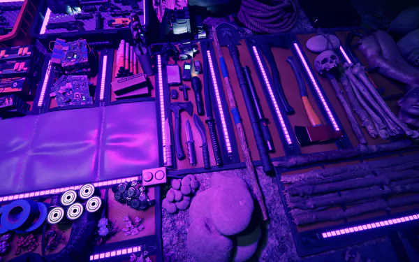 video game Sons of the Forest HD Desktop Wallpaper | Background Image