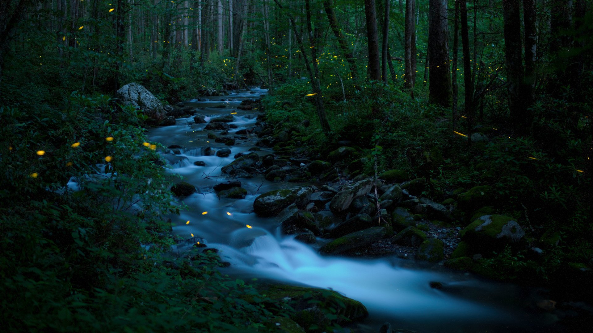 Download Nature Stream HD Wallpaper by Floris Van Bruegel